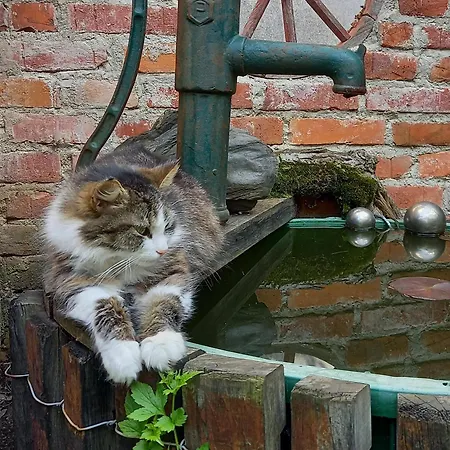 Winzerhof Fleischmann بيت ضيافة 3*