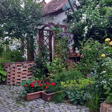 Winzerhof Fleischmann Kleinhoflein