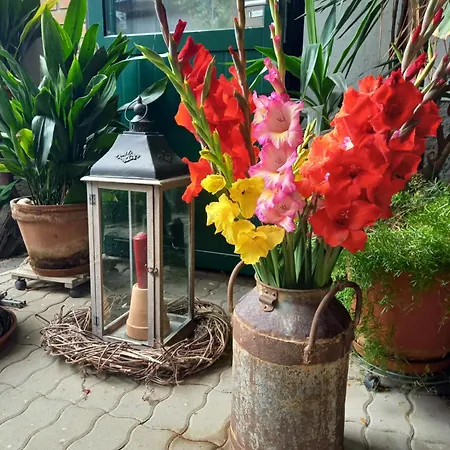 Winzerhof Fleischmann Kleinhoflein