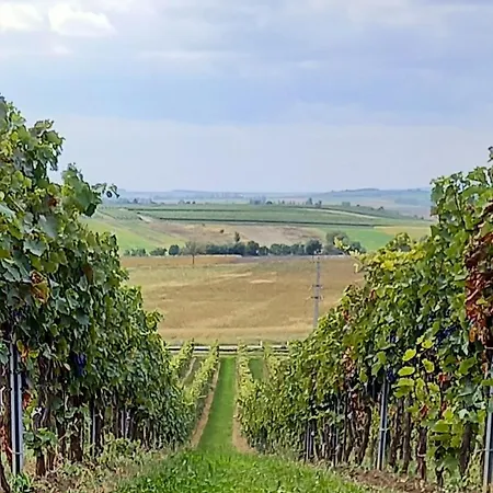 Winzerhof Fleischmann بيت ضيافة 3*