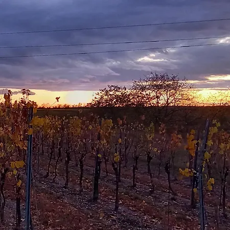 Winzerhof Fleischmann Kleinhoflein