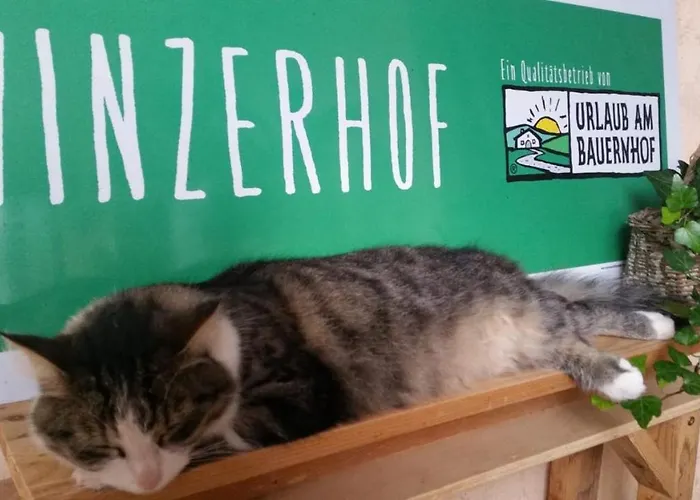 Winzerhof Fleischmann Gasthuis Kleinhoflein