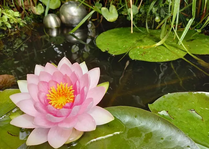 Gasthuis Winzerhof Fleischmann 3*