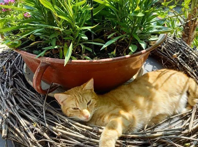 Winzerhof Fleischmann Kleinhoflein