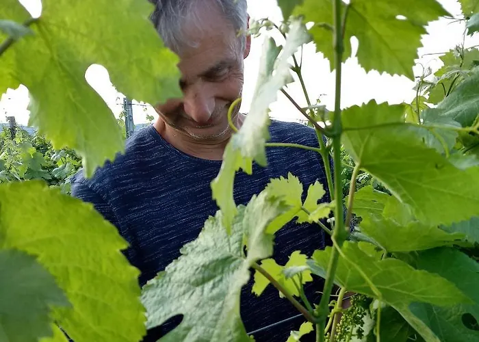 Gasthuis Winzerhof Fleischmann 3*