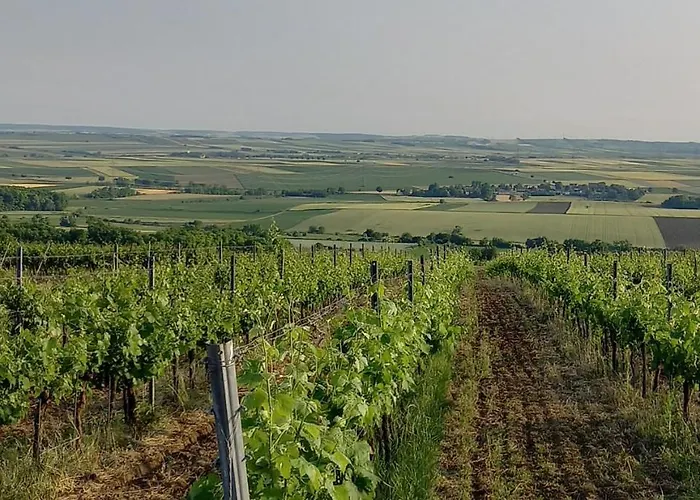 Winzerhof Fleischmann Gasthuis Kleinhoflein