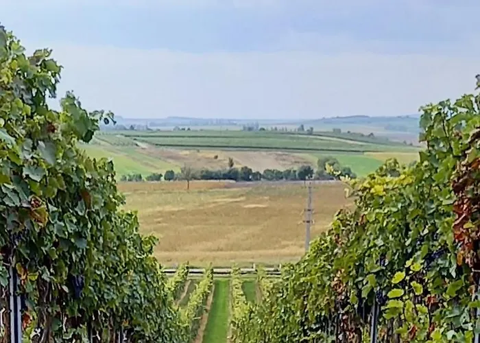 Winzerhof Fleischmann Pensionat 3*