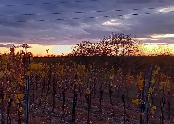 Winzerhof Fleischmann Kleinhoflein