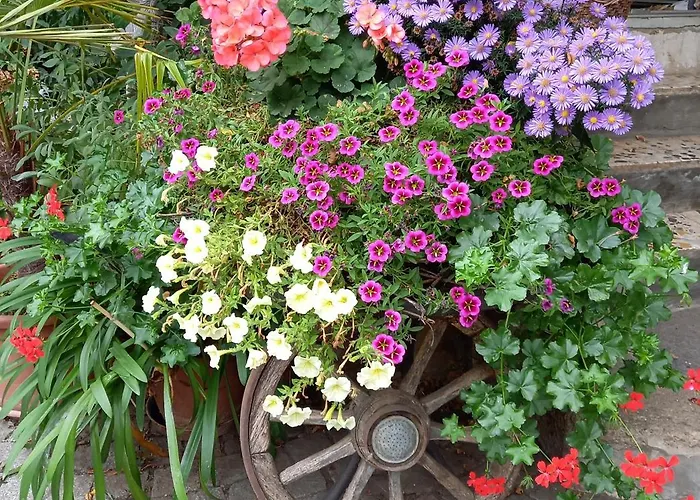 Winzerhof Fleischmann 3*