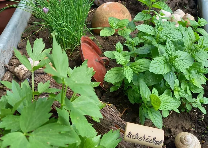 Gasthuis Winzerhof Fleischmann