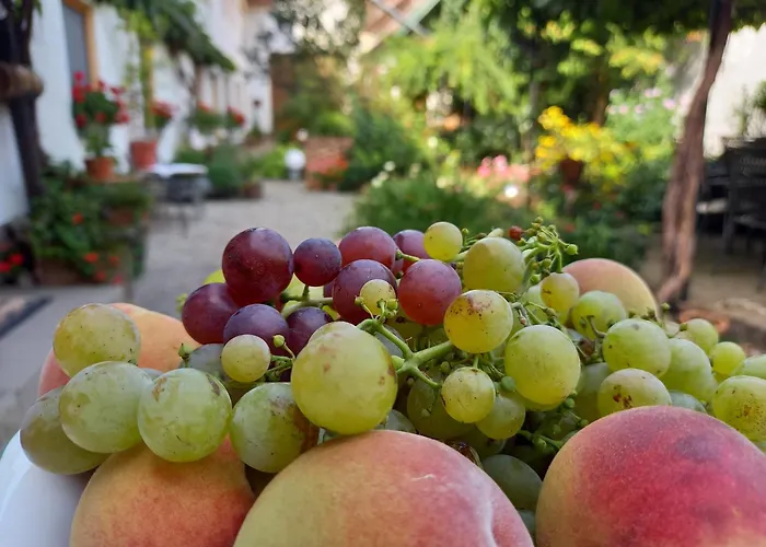 Gasthuis Winzerhof Fleischmann Kleinhoflein
